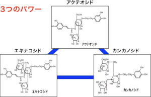 ジンカンカ3つのパワー